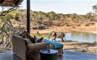 waterbuck lodge [320x200]